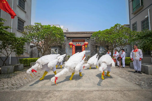 三灶鹤舞图片图片