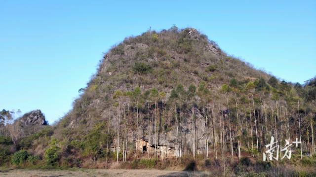 青塘遗址黄门岩1号洞地点远景