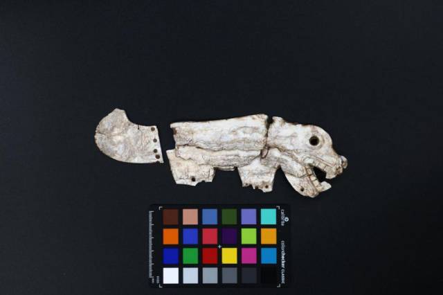 彩陶坡遗址出土蚌龙的复原图